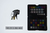 藏品(皮影戲偶頭-小旦)的圖片