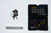 藏品(皮影戲偶頭-小旦)的圖片