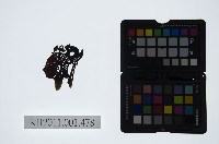 藏品(皮影戲偶頭-武旦)的圖片