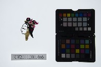 藏品(皮影戲偶頭-小旦)的圖片