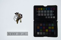 藏品(皮影戲偶頭-小生)的圖片