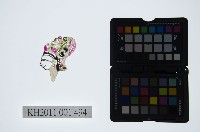 藏品(皮影戲偶頭-中年旦)的圖片