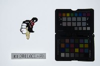 藏品(皮影戲偶頭-中年旦)的圖片