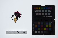 藏品(皮影戲偶頭-小旦)的圖片