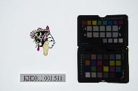 藏品(皮影戲偶頭-武旦)的圖片