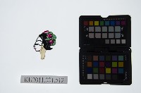 藏品(皮影戲偶頭-中年旦)的圖片