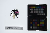 藏品(皮影戲偶頭-小旦)的圖片