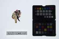 藏品(皮影戲偶頭-旦)的圖片