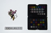 藏品(皮影戲偶頭-旦)的圖片