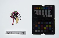 藏品(皮影戲偶頭-旦)的圖片