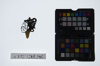 藏品(皮影戲偶頭-旦)的圖片