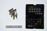 藏品(皮影戲偶頭-生)的圖片