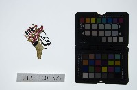 藏品(皮影戲偶頭-生)的圖片