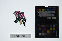 藏品(皮影戲偶頭-淨)的圖片