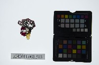 藏品(皮影戲偶頭-淨)的圖片