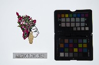 藏品(皮影戲偶頭-生)的圖片