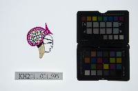 藏品(皮影戲偶頭-生)的圖片