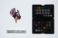 藏品(皮影戲偶頭-淨)的圖片