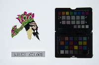 藏品(皮影戲偶頭-末)的圖片