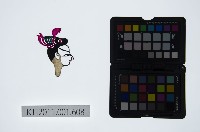 藏品(皮影戲偶頭-生)的圖片