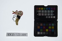 藏品(皮影戲偶頭-生)的圖片