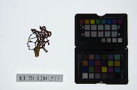 藏品(皮影戲偶頭-生)的圖片