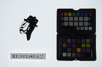 藏品(皮影戲偶頭-淨)的圖片