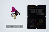 藏品(皮影戲偶頭-丑)的圖片