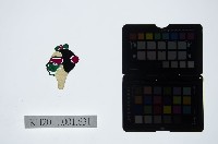 藏品(皮影戲偶頭-雜)的圖片