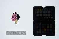 藏品(皮影戲偶頭-雜)的圖片