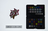 藏品(皮影戲偶頭-淨)的圖片