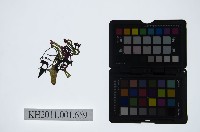 藏品(皮影戲偶頭-生)的圖片