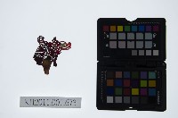 藏品(皮影戲偶頭-生)的圖片