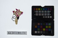 藏品(皮影戲偶頭-生)的圖片