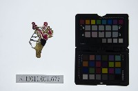 藏品(皮影戲偶頭-生)的圖片