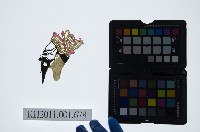 藏品(皮影戲偶頭-末)的圖片