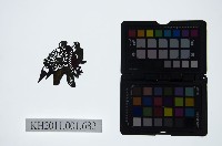 藏品(皮影戲偶頭-淨)的圖片