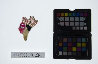 藏品(皮影戲偶頭-生)的圖片