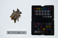 藏品(皮影戲偶頭-淨)的圖片