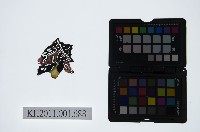 藏品(皮影戲偶頭-淨)的圖片