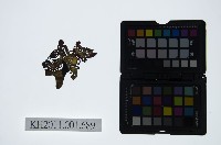 藏品(皮影戲偶頭-淨)的圖片