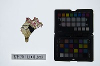 藏品(皮影戲偶頭-生)的圖片