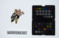 藏品(皮影戲偶頭-淨)的圖片