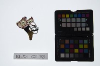 藏品(皮影戲偶頭-淨)的圖片