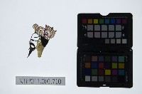 藏品(皮影戲偶頭-生)的圖片