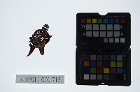 藏品(皮影戲偶頭-雜)的圖片