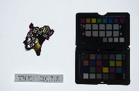 藏品(皮影戲偶頭-淨)的圖片