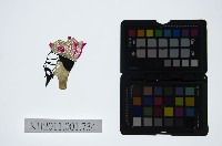 藏品(皮影戲偶頭-末)的圖片