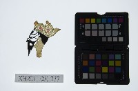 藏品(皮影戲偶頭-雜)的圖片