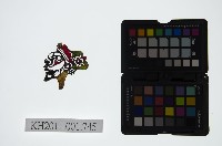 藏品(皮影戲偶頭-淨)的圖片